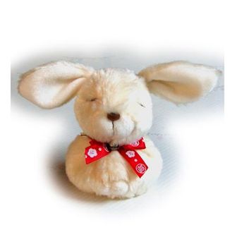 wtaxus わたくさす