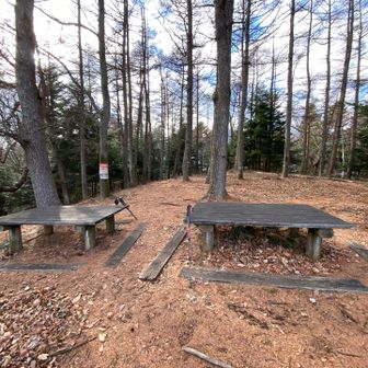 テーブルベンチ