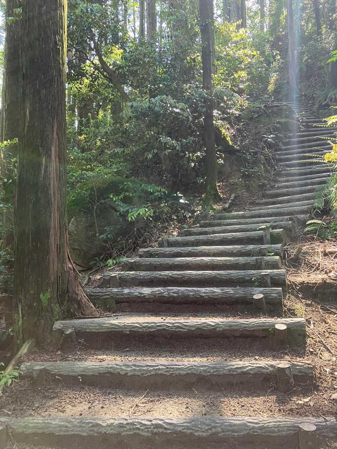 またまだ登ります🚶