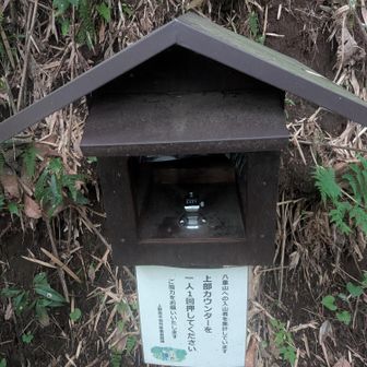 カウンターをポチッとな