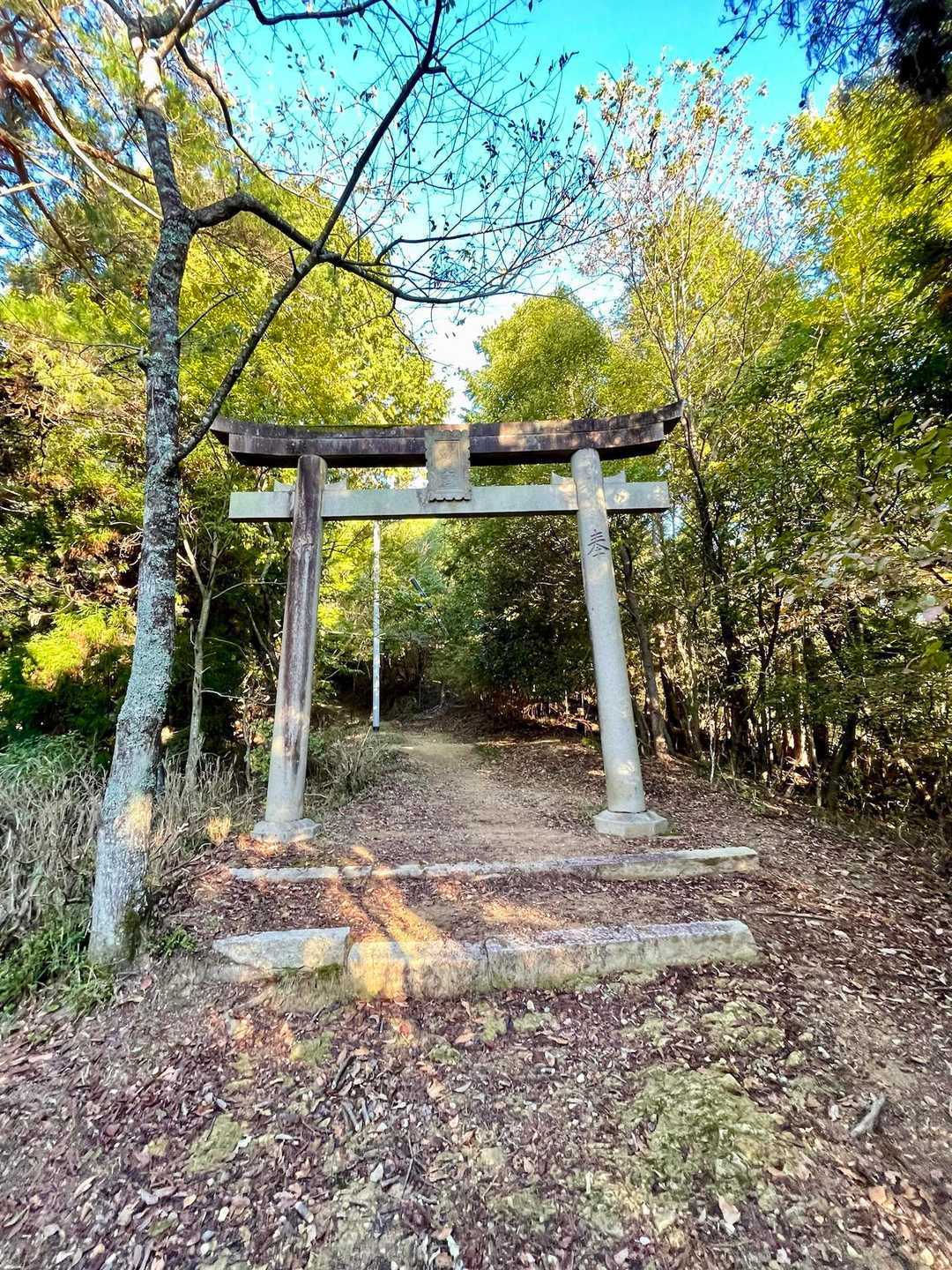 篠ノ丸城跡登り口-東屋-一本松 往復コースの写真
