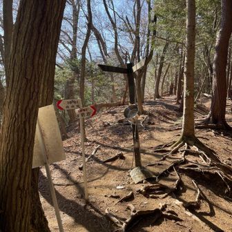 熊避けの鍋と鉄棒。コース上にはドングリが沢山落ちています。