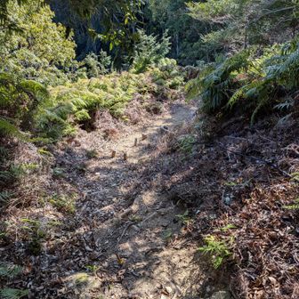 下り、ロープ等整備されてますが傾斜きつい