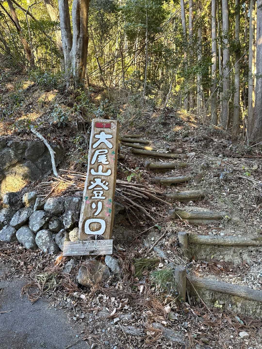 ここから、本格的な登山道に入ります