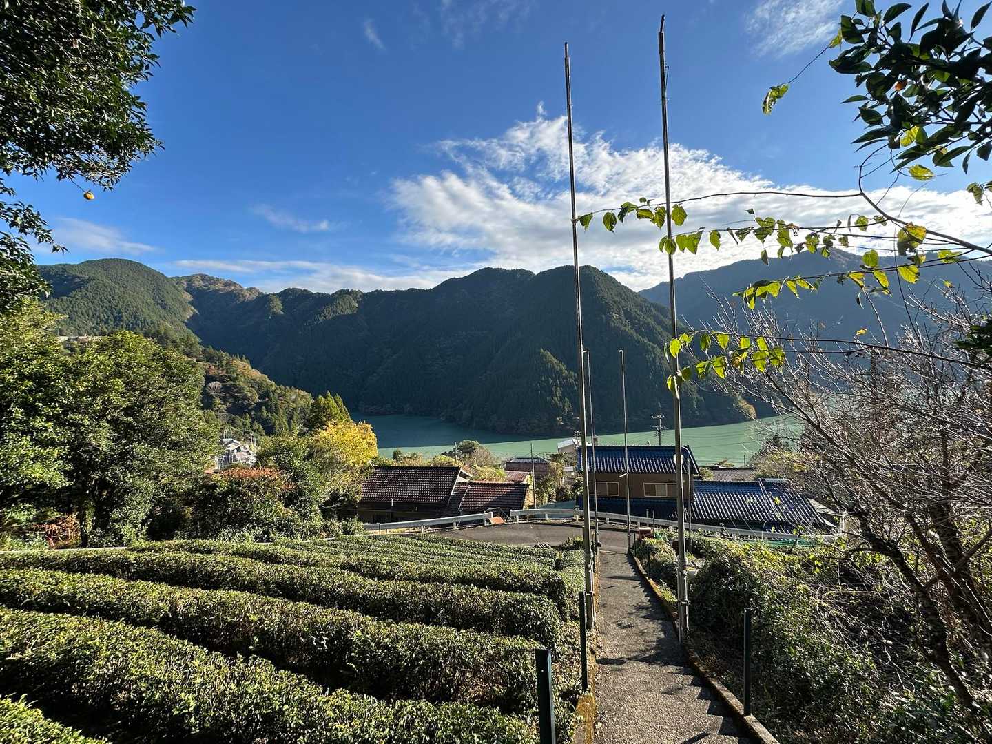 茶畑と佐久間湖のある富山集落まで戻ってきました😊