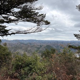 頂上からの景色