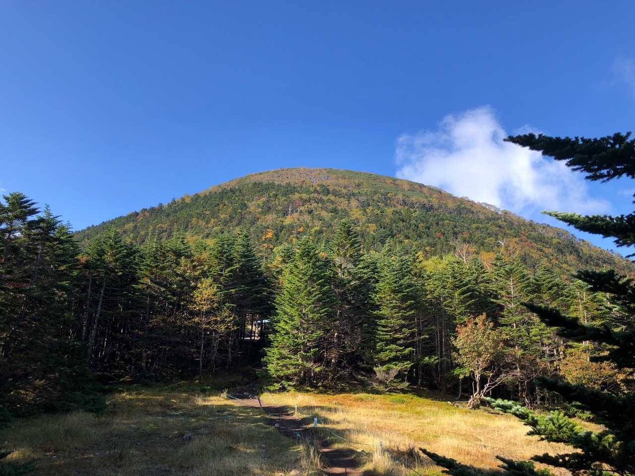 蓼科山。大きい。