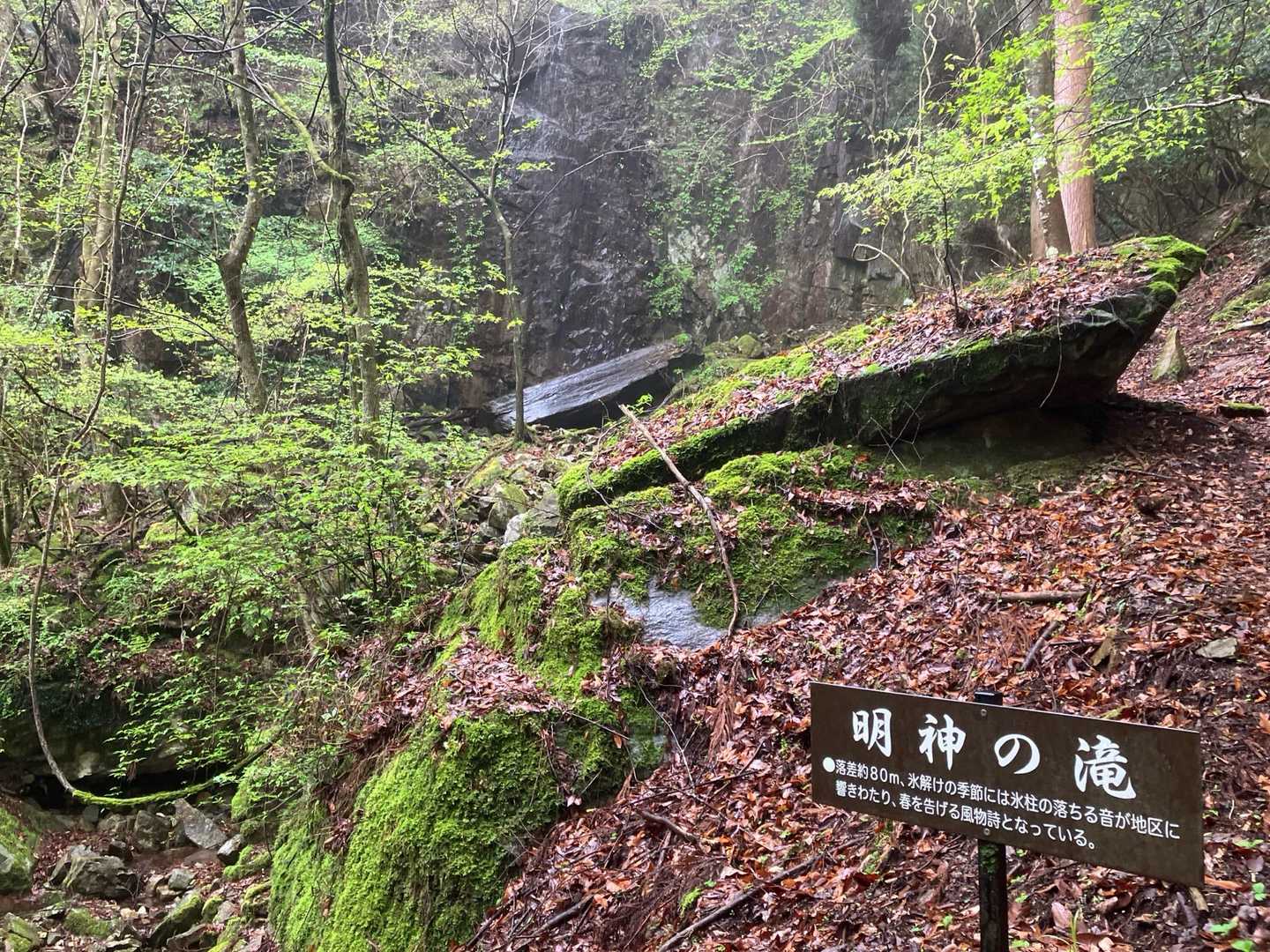今日は反時計回りにしました。