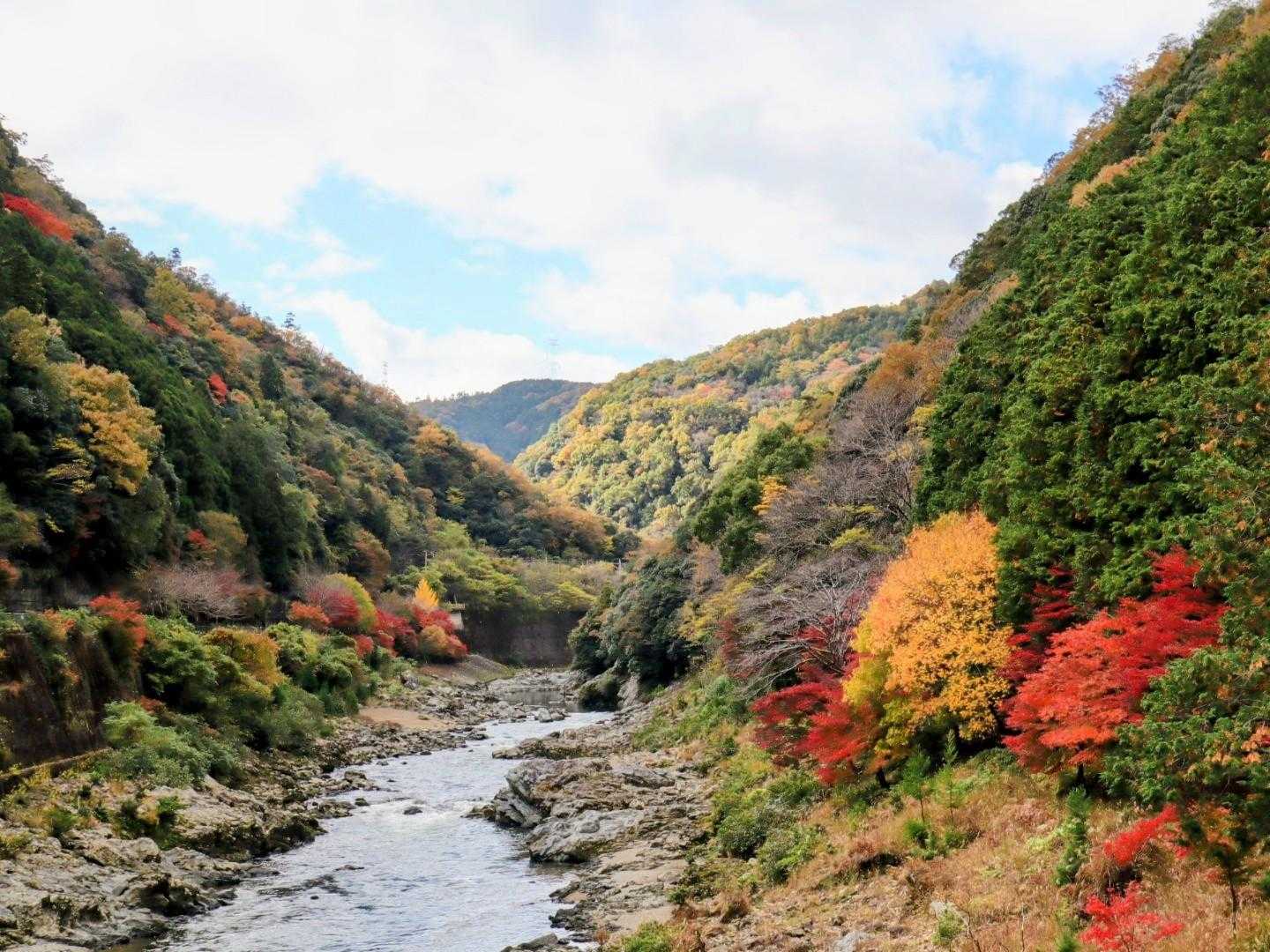 阪急嵐山駅-松尾山-嵐山-烏ヶ岳-新烏ヶ岳-トロッコ保津峡 縦走コースの写真