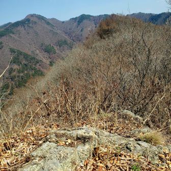 太郎山は見えない👀
けど