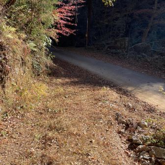 西平山登山口です。