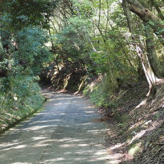 こんな参道