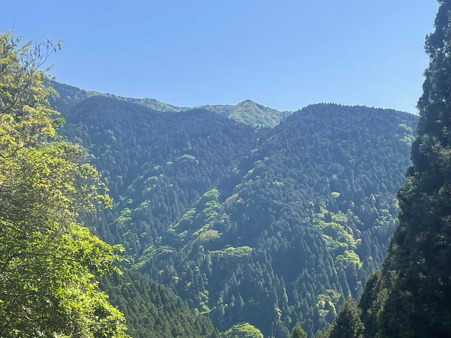 きれーいに金剛山が見えています
