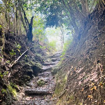 岩屋峠のここ好きです✨