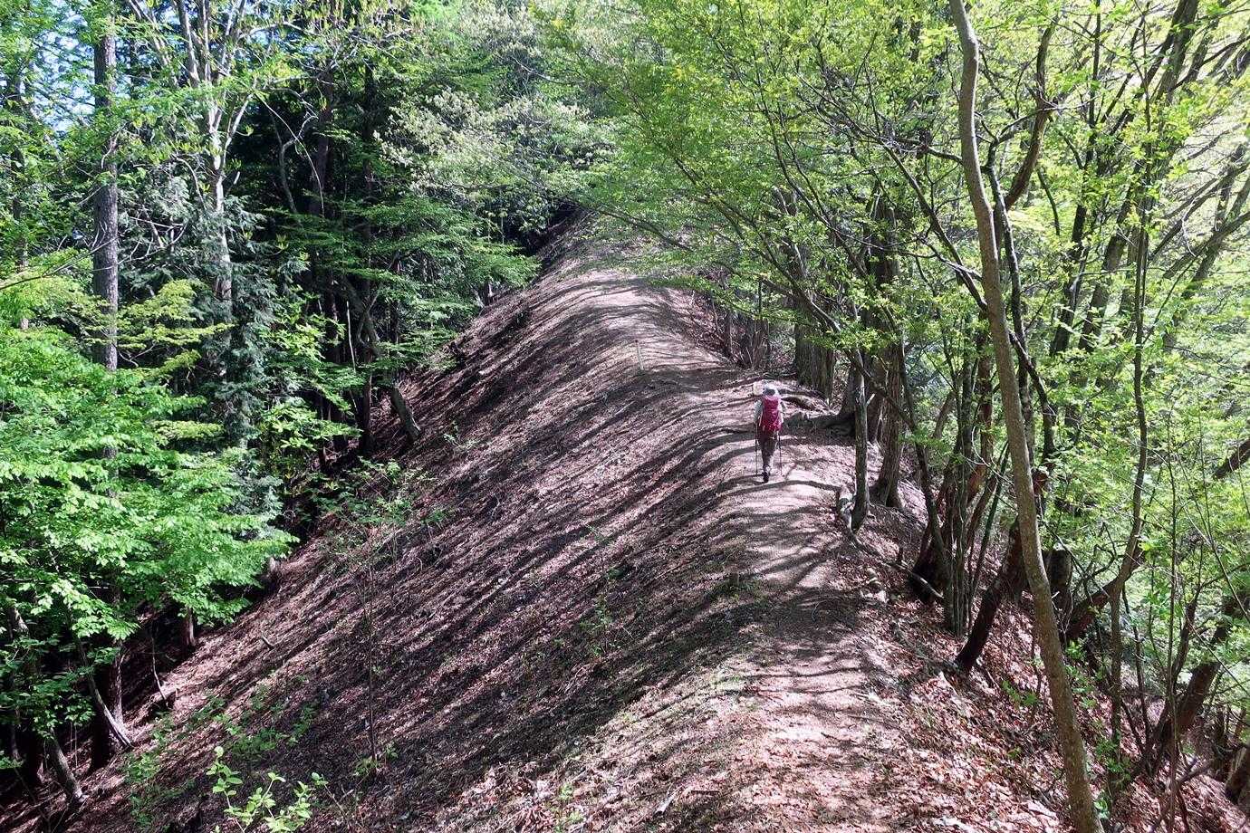 予備知識にほとんどなかったですが、ここの尾根道は秀逸です。