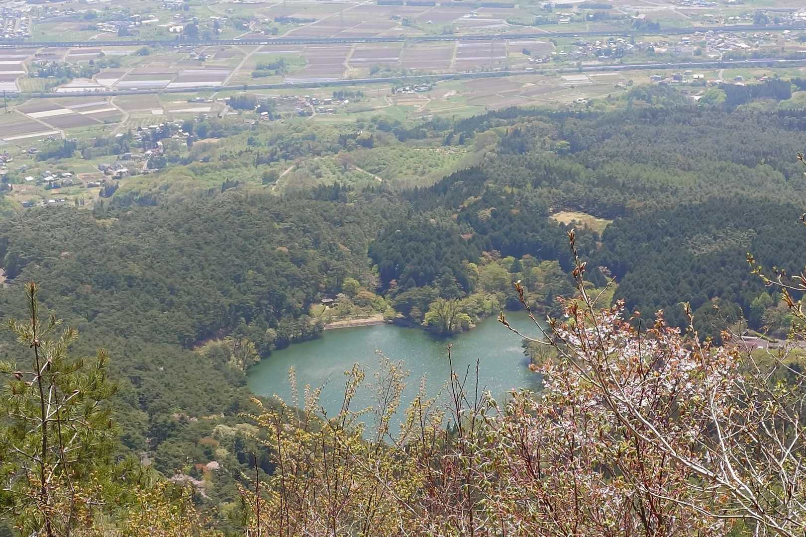 またまた桜と一緒に