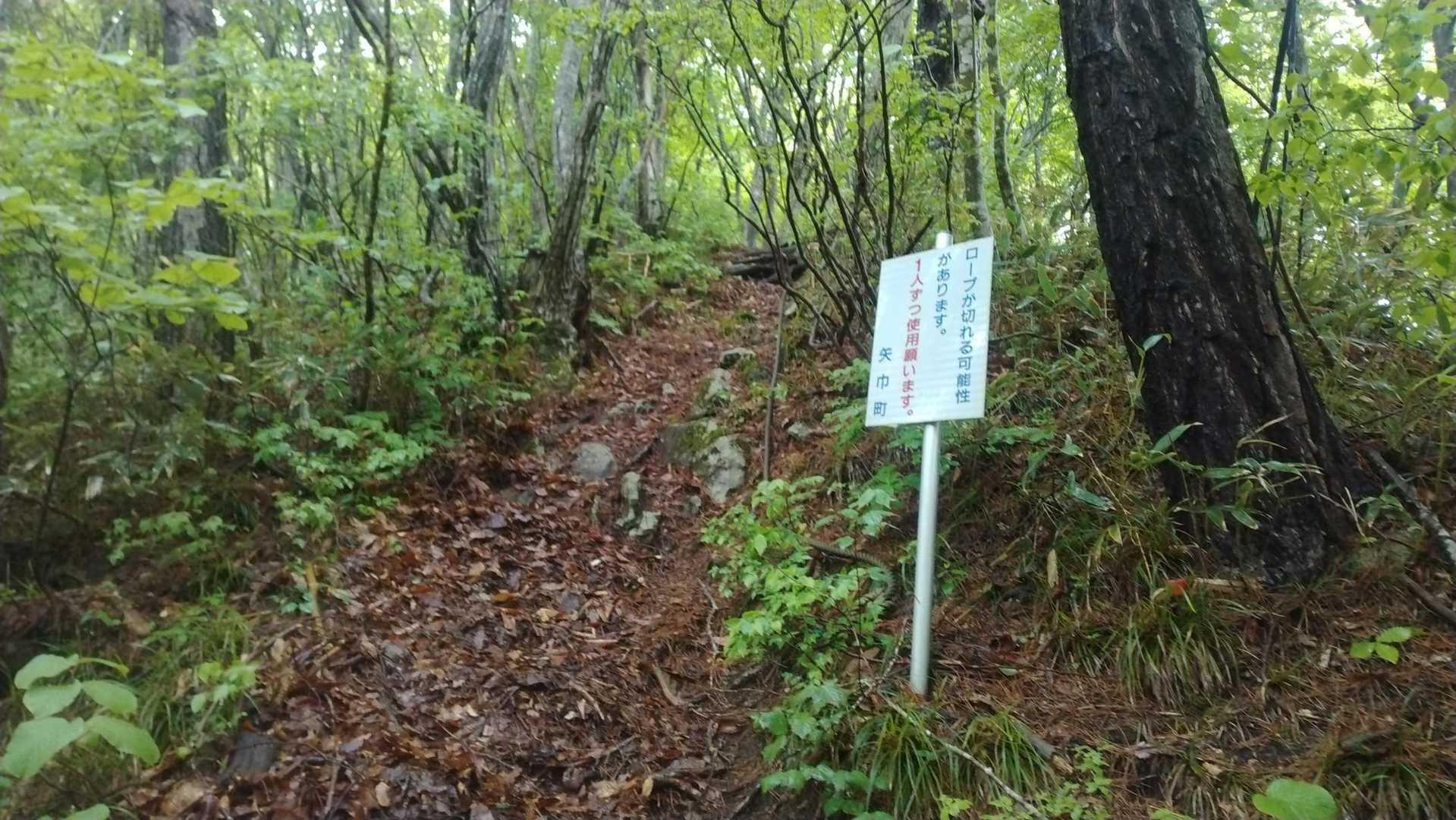 この斜度はかわいい。