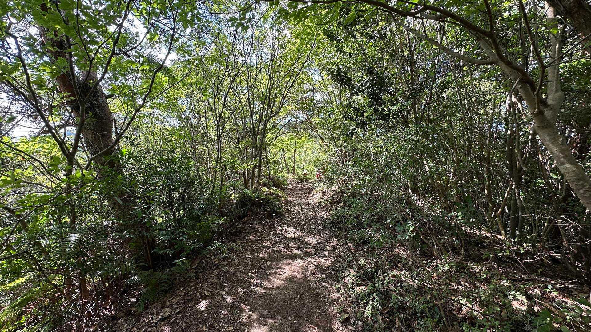 中央登山口-筒ヶ岳-観音岳 往復コースの写真
