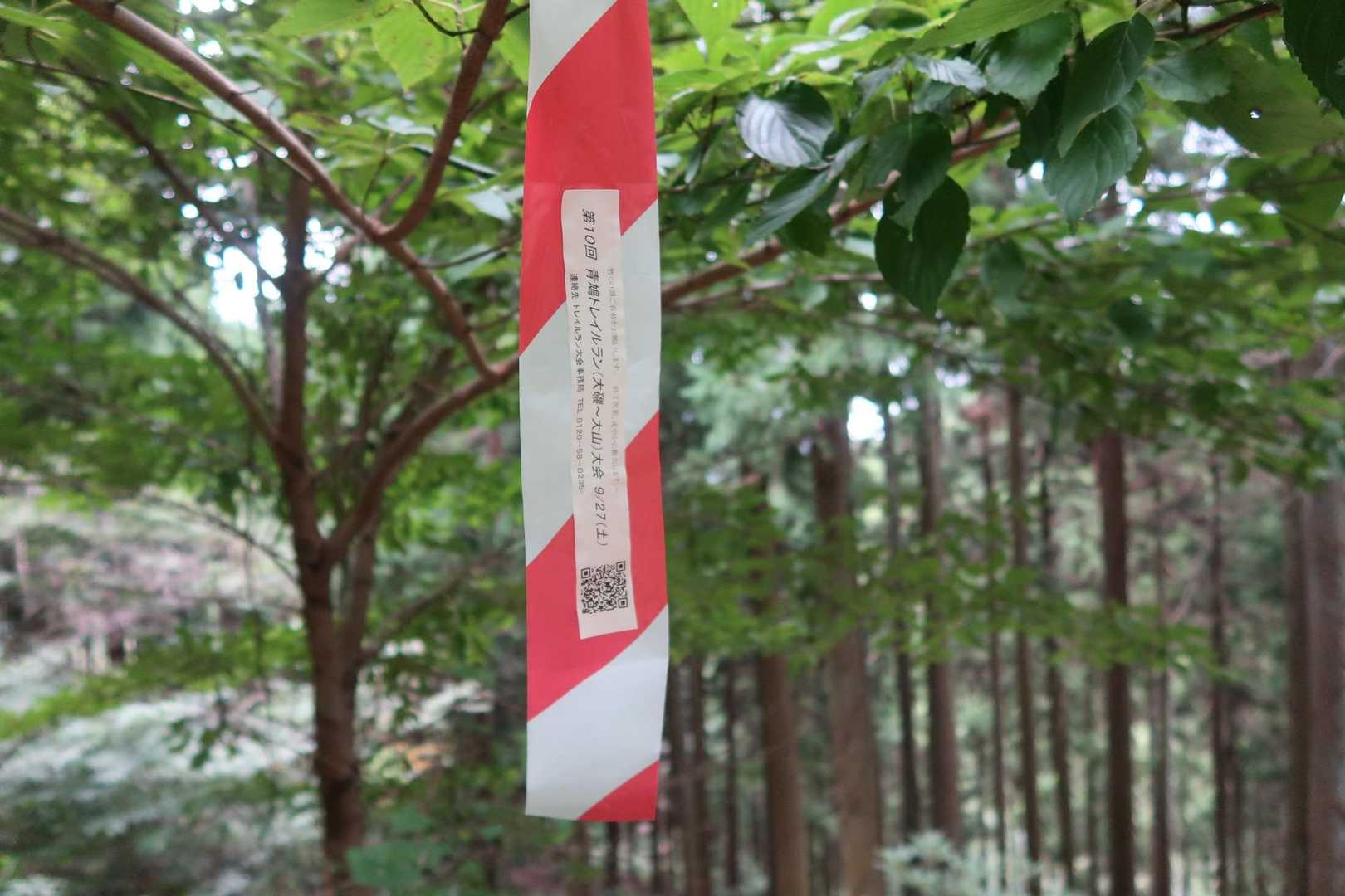 トレランコースの目印