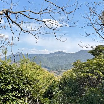 兜山からの眺めはこれだけでした。