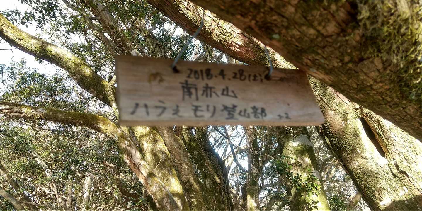 ハラえモリ登山部さん気になる〜😃