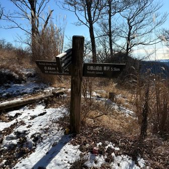 石棚山方面との分岐点。前回下山したルートだ。
