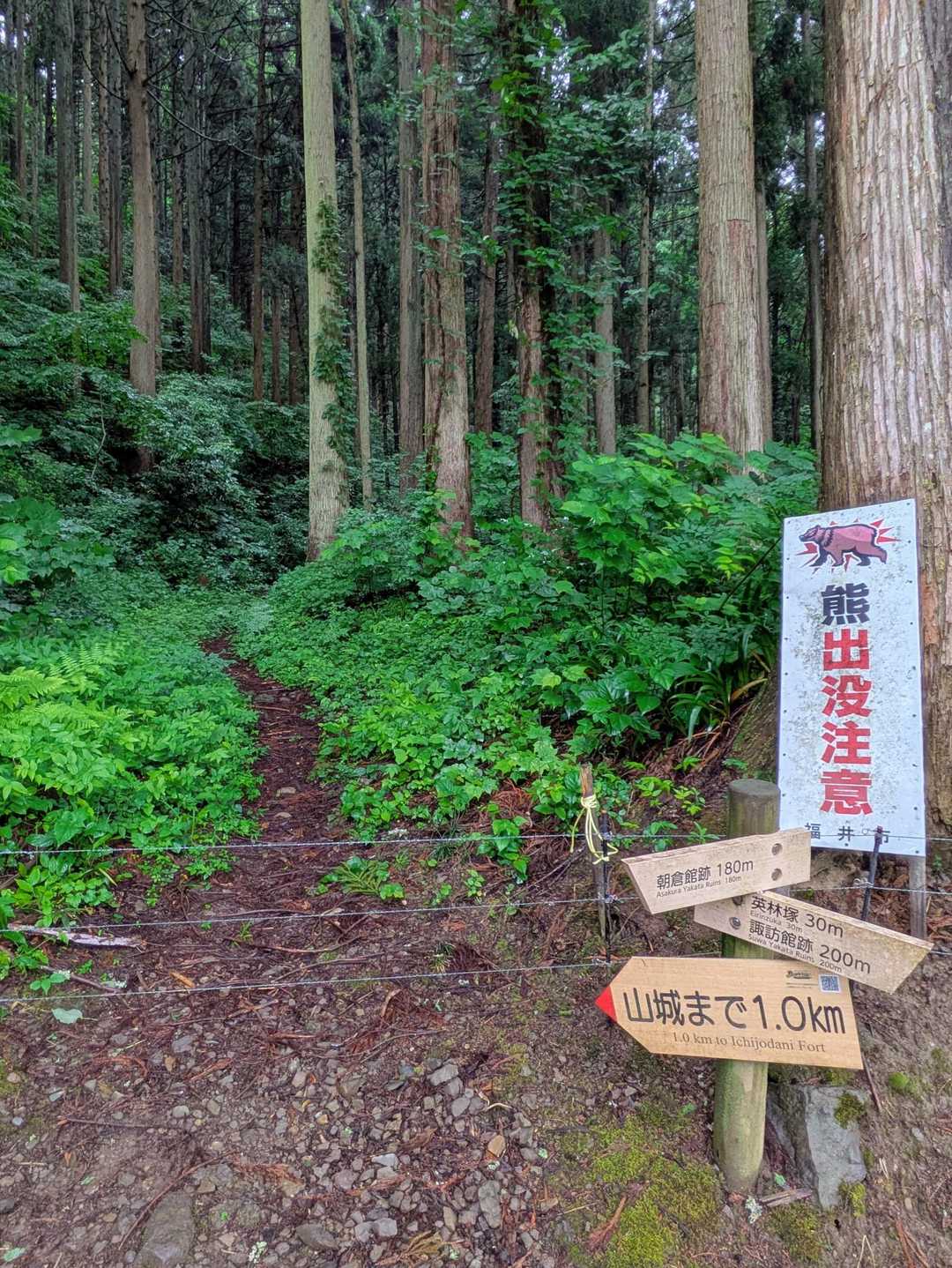 ココから山道に入ります…　手前にはイノシシ🐗被害対策のための電気柵⚡が設置されてるので、それを外して中に入ります…　至って普通の登山道が山頂まで続きます…　