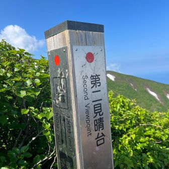 見晴らし台、鴛泊（おしどまり）の町が見下ろします。