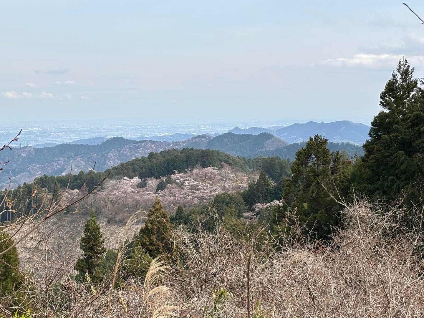 一丁平園地を眺める