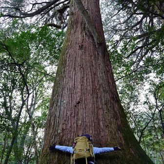 パワー頂きまーす♪