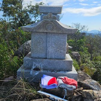 新しい国旗と
栗の渋皮煮をお供え。