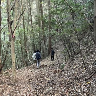 権現峠から春日野に同じルートを下る。

コレは心強い、と思ったのに、
10才位の若者達は走って降りて
アッという間に姿が見えなくなった。

1630無事に春日野団地に着地。
日没前に山から出られたのに
団地の中でバス停に行く道に迷っていると、
後ろからバスが通り過ぎて行った。

次のバスまで40分待ち。
山中より難しい街中の地理でした。