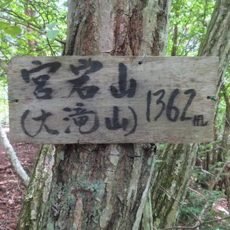 宮宕山（大滝山1362m）本日最高峰