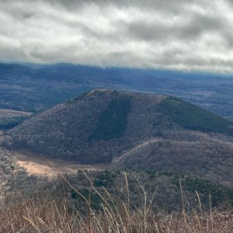 富士山は雲の中

目前のこんもりした山にも
行けるのかなぁ🤔