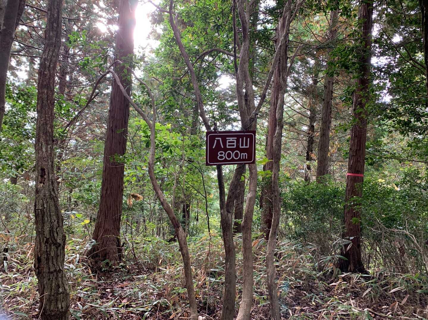 八百山の写真