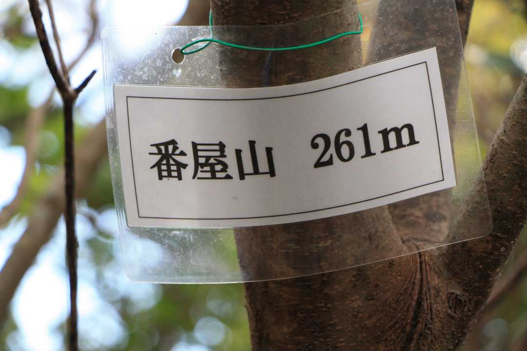 山表示