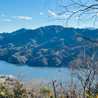 孫山からの下山道はうねうねと蛇行しまくりなのですが、途中相模湖がよく見えるのが癒し