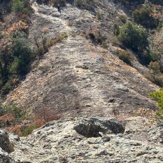 もう1人の方も登り始めた✨