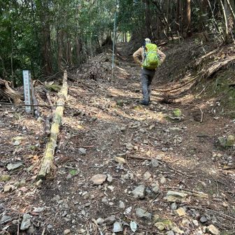 🚶‍♂️🚶‍♂️