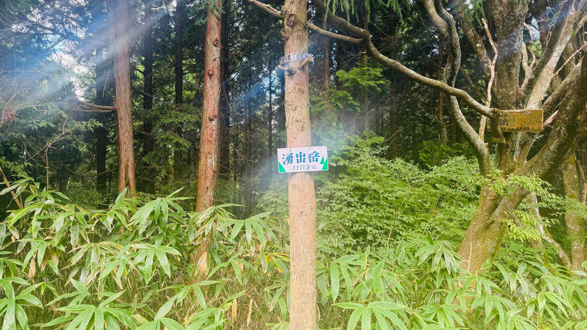 山のおもてなし｜千早本道から登る金剛山王道登山の写真