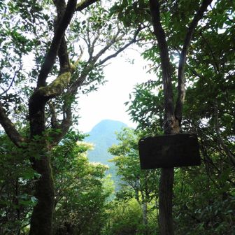 西岳の窓

仲間が来たことないとのことで
多良岳三峰巡りをやめて こちらへ⚆⚆＊

その後は 
最短ルートで  キツネさん観賞へꕤ*.ﾟ
どのくらい咲いてるかな❓
咲いてないかも‼️とは   事前に伝えてはいる