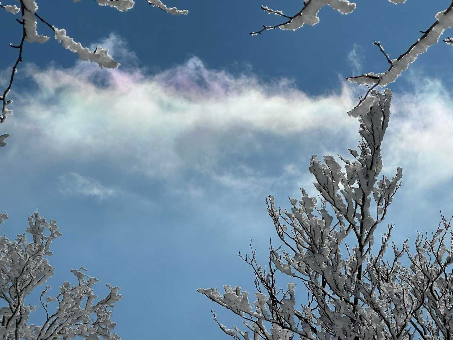 寺崎さんが大騒ぎ。
何⁉️

これは虹🌈かなぁ。。
うーん、写真じゃ上手く撮れない。。

いいことありそう😍