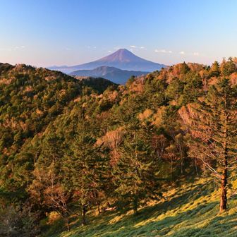 黄金色の朝日を浴びて輝く森
ほんと、絶景だなぁ～
