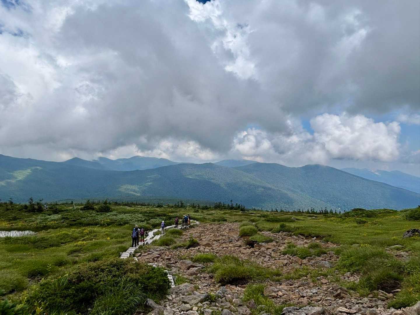 木道を戻ります
雨が降りそう…でも、通り雨程度だろう…と軽く考えています