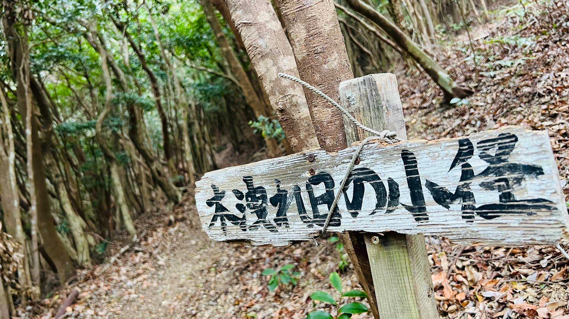 こもれびのこみち
日が指すといい画がとれます！
（今日はなし😭）