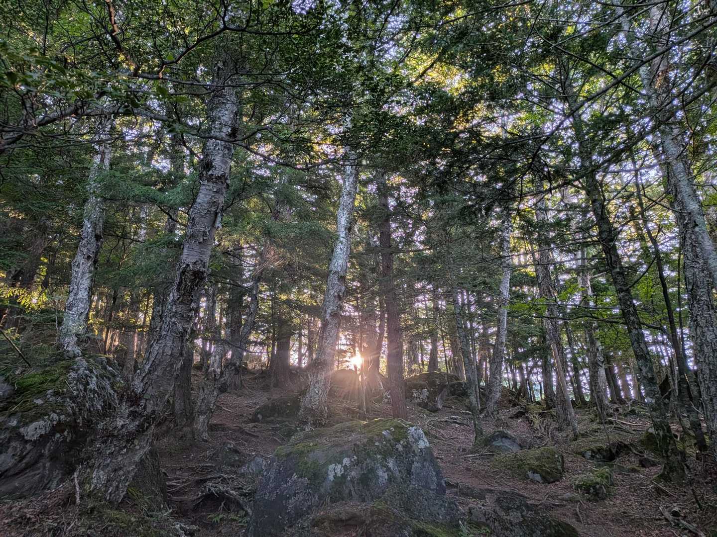 おはよう朝日🌄✨️