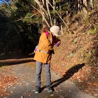 さちぶたさっこ