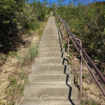 栂尾山への400階段。いつもここでバテるんだよなぁ…。今日はとにかくゆっくりゆっくり…。