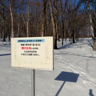 下山＼(^o^)／ほんとに楽しかった！