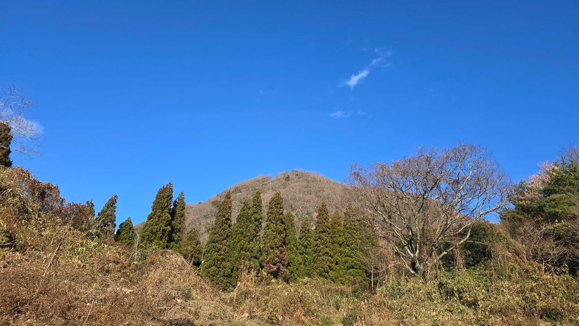 高崎山ブルー
クーちゃんより青いね😆
追っかけですから～😂